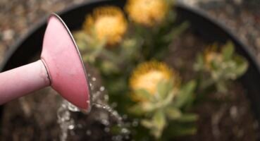 Damlama Sulama Kredisi Nasıl Alınır?