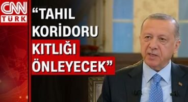 Ayı Piyasasında Yatırımcıların Panik Yapmadan Nasıl Hareket Etmeli?