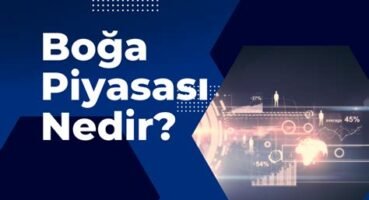 Boğa Piyasası Yatırımcılar İçin Ne Anlama Gelir?