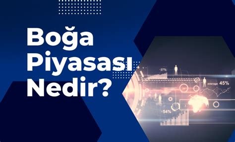 Boğa Piyasası Yatırımcılar İçin Ne Anlama Gelir?