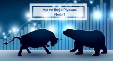 Ayı Piyasası İle Boğa Piyasası Arasındaki Fark Nedir?