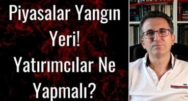 Ayı Piyasasında Yatırımcılar Ne Yapmalı?