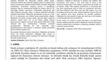Portföy Çeşitlendirmesi ve Optimal Risk Dağılımı: Teorik Çerçeve ve Uygulama Örnekleri