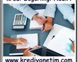 İşletme finansmanında kredi değerliliği analizi ve kredi notunun önemi