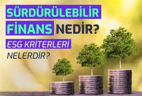 ESG faktörlerini dikkate alarak sürdürülebilir yatırım portföyü oluşturma