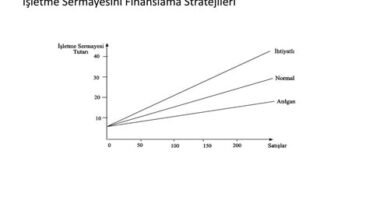 İşletme finansmanında iskeletin belirlenmesi: Sermaye yapılandırması