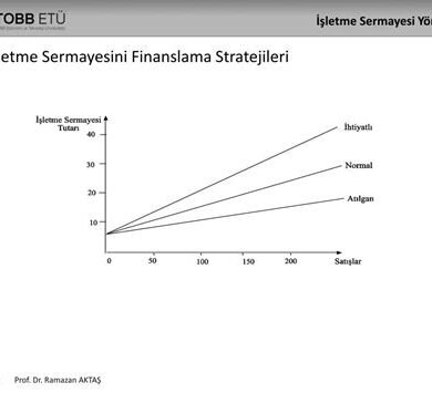 İşletme finansmanında iskeletin belirlenmesi: Sermaye yapılandırması