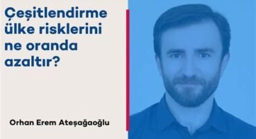 Portföy Çeşitlendirmesi ile Risk Azaltma: Geçmiş Verilere Dayalı Analizler
